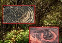 कोकणातील अश्मयुगीन कातळशिल्पांचे होणार जतन- संवर्धन