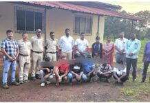 आरक्षित वनक्षेत्रातून सागवानाची अवैध तोड; ७ आरोपींना अटक