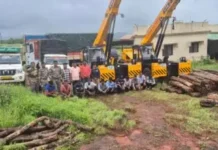 लांजात सागवान तस्करीचा पर्दाफाश; ११ संशयित ताब्यात, ५ वाहने जप्त