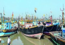 जिल्ह्यात वादळी वातावरण; मासेमारी ठप्प