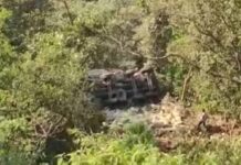 कुंभार्ली घाटात ट्रक दरीत कोसळला; चालकासह क्लिनर गंभीर जखमी