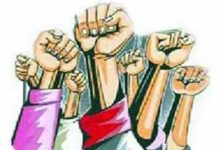 सरकारने कुणबी बांधवांच्या तोंडाला पुसली पाने