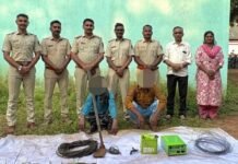 कोंडीवरे येथे विद्युत प्रवाहाने दोन रानकुत्र्यांचा मृत्यू