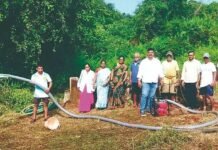 गुहागरात विहिरीमध्ये आढळला सडलेल्या अवस्थेतील कोल्हा