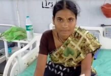 दापोलीत कोल्ह्याची दहशत! कोकंबा आळीत महिलेसह तिघांवर हल्ला