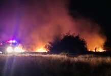 चंपक मैदानाजवळील डम्पिंग ग्राउंडला भीषण आग