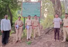 राखीव वनक्षेत्रात अनधिकृत वीजवाहिनी टाकल्याप्रकरणी ठेकेदारावर गुन्हा