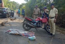 रायपाटण येथे भीषण अपघात; दुचाकीवरून पडून महिलेचा जागीच मृत्यू