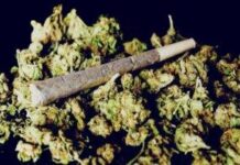 कुंबळेत गांजा सेवन करणाऱ्या दोघांवर गुन्हा