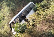 चिंद्रवलीनजीक मिनी बस दरीत कोसळून अपघात; एकाचा मृत्यू, १० जखमी
