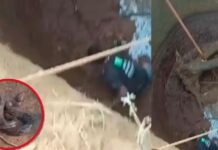 खोल विहिरीत अडकलेल्या अजगराच्या पिल्लाची सुटका