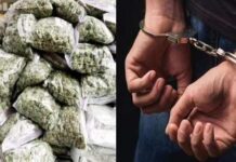 देवरुखमध्ये गांजा सेवन करणाऱ्या तरुणावर पोलिसांची कारवाई