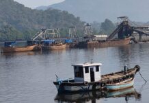 वाशिष्ठी नदीपात्रात नियमबाह्य वाळू उपसा; कारवाईची मागणी