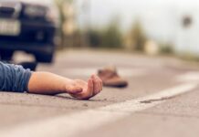 भरधाव दुचाकीच्या धडकेत स्वार गंभीर जखमी