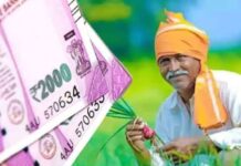 जिल्ह्यातील 20 हजार शेतकऱ्यांना साडेतीन कोटींची नुकसान भरपाई