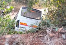 चिंद्रवलीनजीक मिनी बस दरीत कोसळून अपघात; एकाचा मृत्यू, १० जखमी