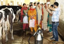 प्रत्येक गावासाठी राष्ट्रीय डिजिटल पशुधन अभियान अधिकाऱ्याची होणार नियुक्ती