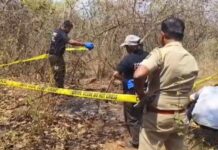 हापूसच्या बागेत सापडला मानवी सांगाडा?