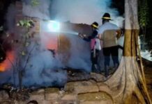 चिंचघर येथे गुरांच्या गोठ्याला भीषण आग