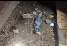 भाट्ये येथील धोकादायक पुलाचे तातडीने स्ट्रक्चरल ऑडिट करा