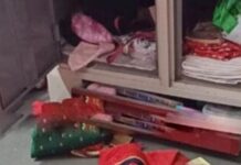 चिपळूण पागमळा परिसरात चोरट्यांचा धुमाकूळ