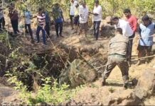 ३६ तासांच्या संघर्षानंतर दुर्मिळ ‘काळा बिबट्या’ सुखरूप बाहेर