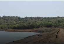 रत्नागिरी शहराचा पाणीप्रश्न सुटला; शीळ धरणात मुबलक साठा
