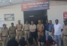 जनावरे वाहतूक व्यवसायातून आंबा घाटातील दरोडा प्रकरण