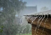 कोकणचा राजा संकटात! रत्नागिरीत अवकाळी पावसाचे सावट