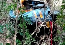 रिक्षा दरीत कोसळून तिघे जखमी