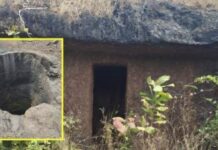 राजापूरच्या जंगलात ५ प्राचीन कातळकोरीव लेणी उजेडात