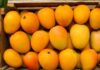 हापूस ‘डझना’ऐवजी ‘शेकड्या’वर