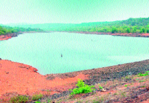 जिल्ह्यात ४९ धरणांत केवळ ४३ टक्के पाणी