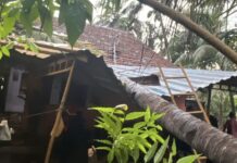 वादळाचा मोठा फटका; साडेतीनशे घरांसह गोठे, इमारतीचं नुकसान