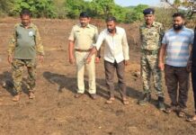 सह्याद्री व्याघ्र प्रकल्पातील वणवा प्रकरणी मुख्य आरोपीला १६ मे पर्यंत वनकोठडी
