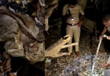 खेड-दापोली मार्गावर मानवी हाडांचा सांगाडा सापडल्याने खळबळ