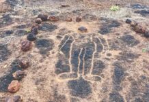 सौंदळमध्ये आढळले अश्मयुगीन कातळशिल्प