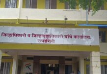 जिल्हा प्रशासनातील शिस्तभंगाच्या कारवाईचा धसका