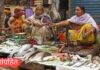 रस्त्यावर मासेविक्री करणाऱ्या १२ महिलांना न्यायालयाचा दणका