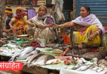 रस्त्यावर मासेविक्री करणाऱ्या १२ महिलांना न्यायालयाचा दणका