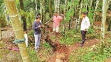 दापोलीत डोंगराला दोन किलोमीटरपर्यंत भेगा