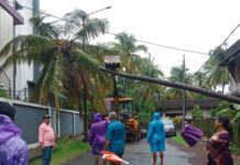रत्नागिरी स्टेट बँक कॉलनीत विद्युत वाहिनीवर माड कोसळला