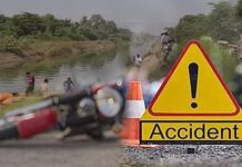 कोकणनगर येथे उनाड बैलाची दुचाकीला जोरदार धडक; तरुण गंभीर जखमी