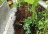 कुंभार्ली घाटात मुसळधार पावसाने सुमारे २० फूट रस्ता खचला