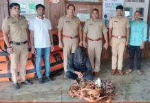 महावितरणची केबल लांबवणाऱ्या चोरट्यास अटक