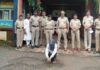 शाळकरी मुलींच्या विनयभंग प्रकरणी फरार आरोपीला अटक