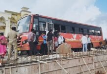 रत्नागिरीत भीषण अपघात: टीआरपीजवळ बसच्या धडकेत गाईचा जागीच मृत्यू