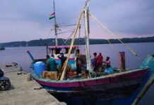 अवैध मासेमारी करणाऱ्या तीन नौकांवर कारवाईचा बडगा