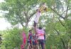 जिल्ह्यात दहीकाल्याची धूम, फुटल्या अडीच हजार दहीहंड्या