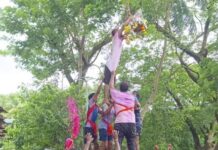 जिल्ह्यात दहीकाल्याची धूम, फुटल्या अडीच हजार दहीहंड्या